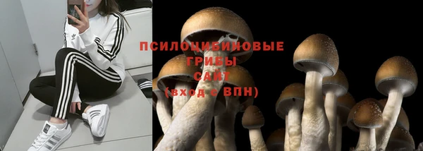 2c-b Семилуки