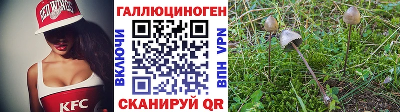 наркошоп Ясногорск Псилоцибиновые грибы мицелий